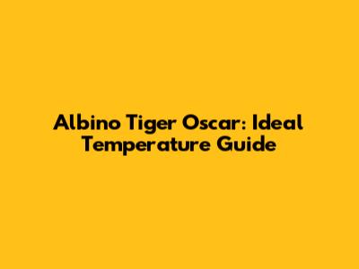 Albino Tiger Oscar: Ideal Temperature Guide