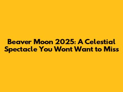 Beaver Moon 2025: A Celestial Spectacle You Won't Want to Miss