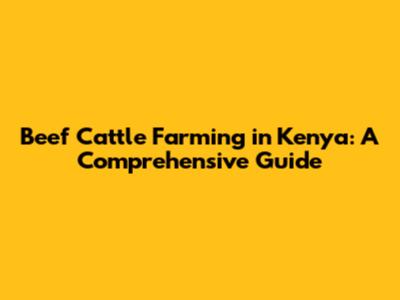 Beef Cattle Farming in Kenya: A Comprehensive Guide