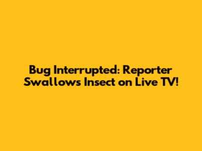 Bug Interrupted: Reporter Swallows Insect on Live TV!
