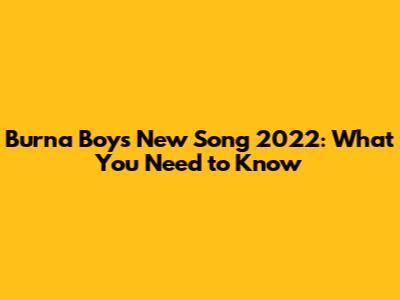 Burna Boy's New Song 2022: What You Need to Know