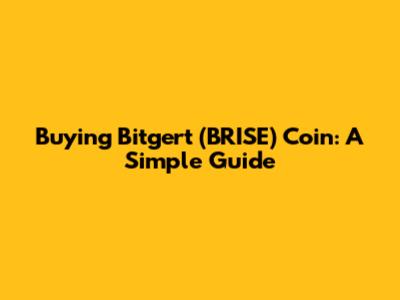 Buying Bitgert (BRISE) Coin: A Simple Guide