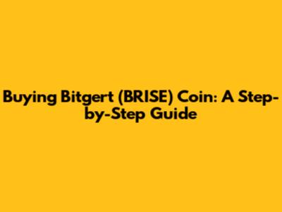 Buying Bitgert (BRISE) Coin: A Step-by-Step Guide