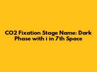 CO2 Fixation Stage Name: Dark Phase with 'i' in 7th Space