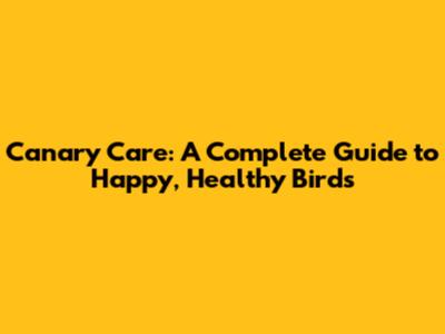Canary Care: A Complete Guide to Happy, Healthy Birds