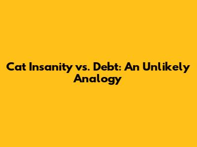 Cat Insanity vs. Debt: An Unlikely Analogy