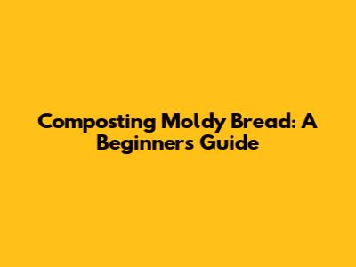 Composting Moldy Bread: A Beginner's Guide