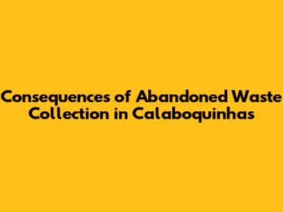 Consequences of Abandoned Waste Collection in Calaboquinhas