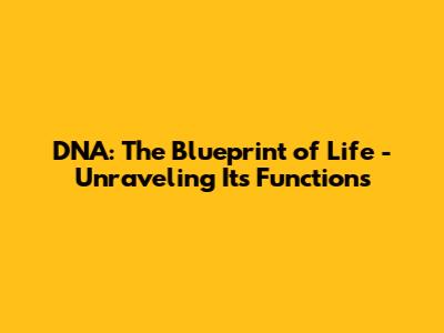 DNA: The Blueprint of Life - Unraveling Its Functions