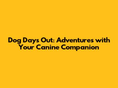 Dog Days Out: Adventures with Your Canine Companion