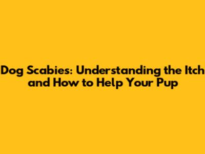 Dog Scabies: Understanding the Itch and How to Help Your Pup