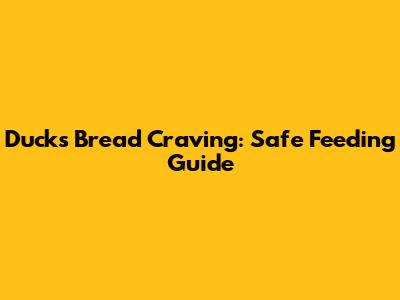 Duck's Bread Craving: Safe Feeding Guide