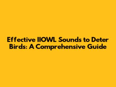 Effective IIOWL Sounds to Deter Birds: A Comprehensive Guide