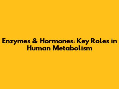 Enzymes & Hormones: Key Roles in Human Metabolism