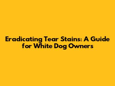 Eradicating Tear Stains: A Guide for White Dog Owners
