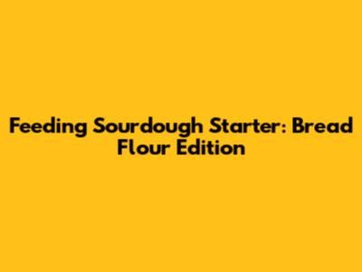 Feeding Sourdough Starter: Bread Flour Edition