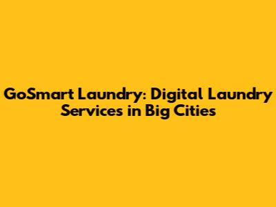 GoSmart Laundry: Digital Laundry Services in Big Cities