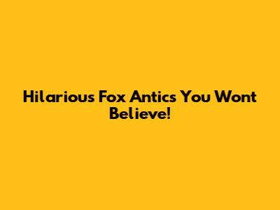 Hilarious Fox Antics You Won't Believe!