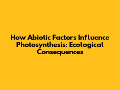 How Abiotic Factors Influence Photosynthesis: Ecological Consequences