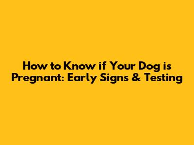 How to Know if Your Dog is Pregnant: Early Signs & Testing
