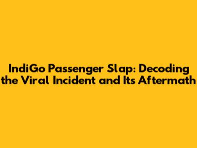 IndiGo Passenger Slap: Decoding the Viral Incident and Its Aftermath