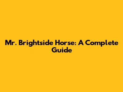 Mr. Brightside Horse: A Complete Guide