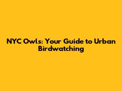 NYC Owls: Your Guide to Urban Birdwatching