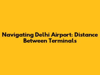 Navigating Delhi Airport: Distance Between Terminals