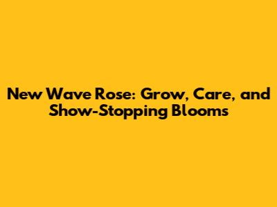 New Wave Rose: Grow, Care, and Show-Stopping Blooms