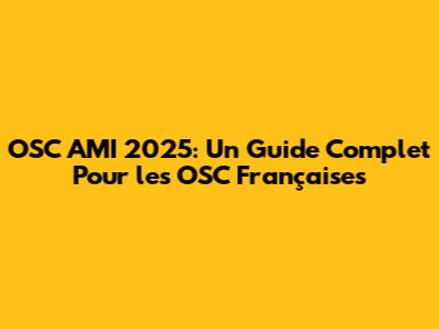 OSC AMI 2025: Un Guide Complet Pour les OSC Françaises