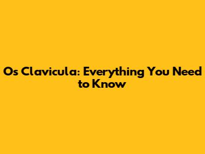 Os Clavicula: Everything You Need to Know
