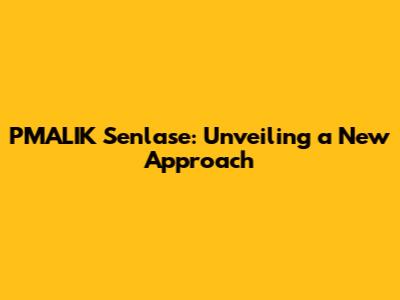 PMALIK Senlase: Unveiling a New Approach
