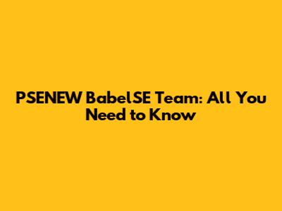 PSENEW BabelSE Team: All You Need to Know