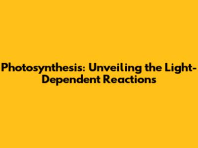 Photosynthesis: Unveiling the Light-Dependent Reactions