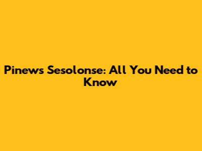 Pinews Sesolonse: All You Need to Know