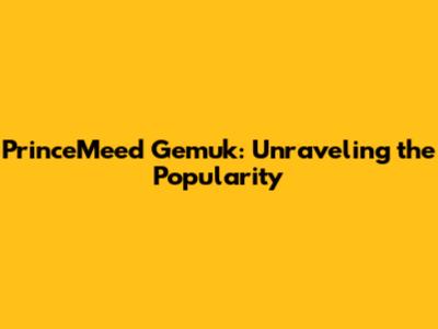 PrinceMeed Gemuk: Unraveling the Popularity