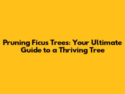 Pruning Ficus Trees: Your Ultimate Guide to a Thriving Tree