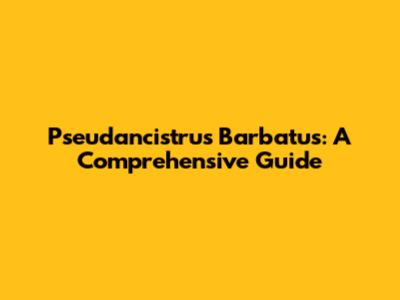 Pseudancistrus Barbatus: A Comprehensive Guide