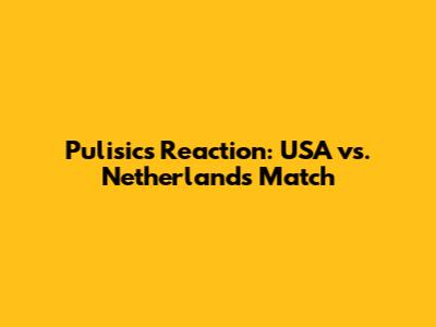 Pulisic's Reaction: USA vs. Netherlands Match