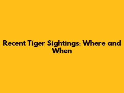 Recent Tiger Sightings: Where and When