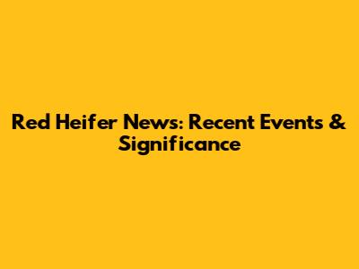 Red Heifer News: Recent Events & Significance