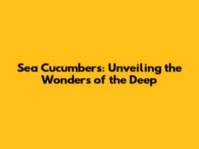 Sea Cucumbers: Unveiling the Wonders of the Deep