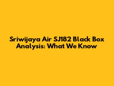 Sriwijaya Air SJ182 Black Box Analysis: What We Know