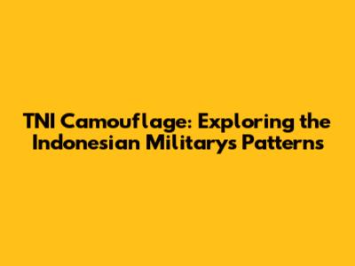 TNI Camouflage: Exploring the Indonesian Military's Patterns