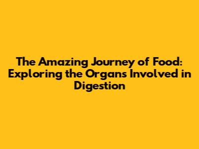 The Amazing Journey of Food: Exploring the Organs Involved in Digestion