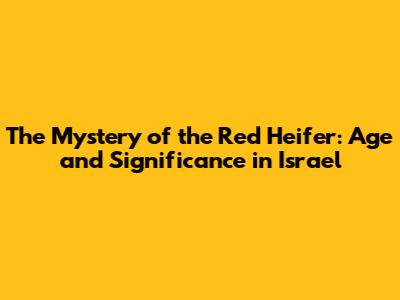 The Mystery of the Red Heifer: Age and Significance in Israel
