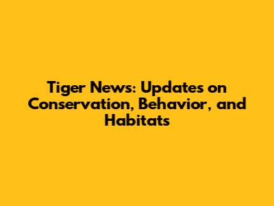 Tiger News: Updates on Conservation, Behavior, and Habitats