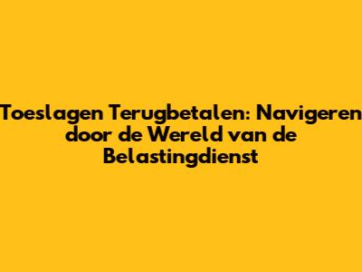 Toeslagen Terugbetalen: Navigeren door de Wereld van de Belastingdienst