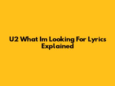 U2 "What I'm Looking For" Lyrics Explained