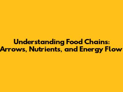 Understanding Food Chains: Arrows, Nutrients, and Energy Flow